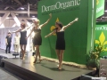 Stage Performance at ISSE